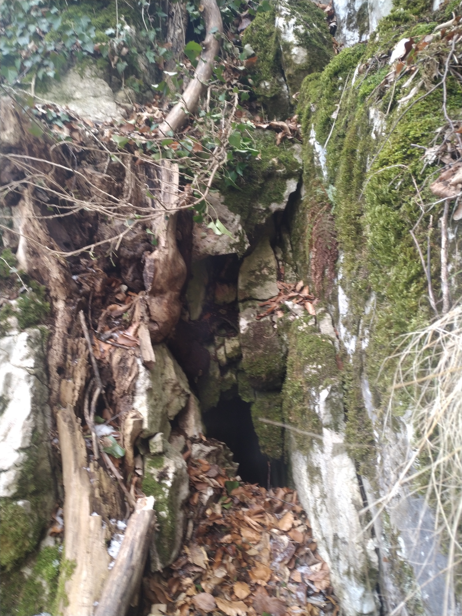 Peștera de sub Cleanț Nr.1 - Image 1